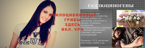 тгк Горно-Алтайск