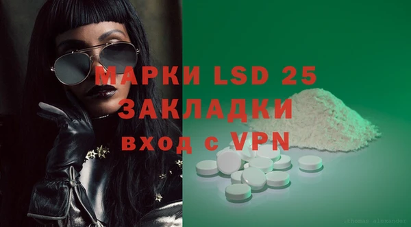 шишки Вязьма