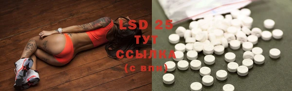шишки Вязьма