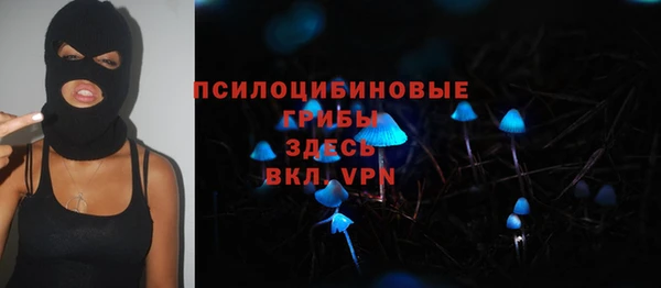 Альфа ПВП Вяземский