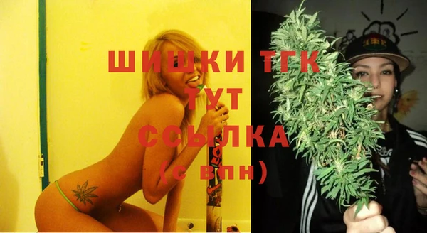 шишки Вязьма